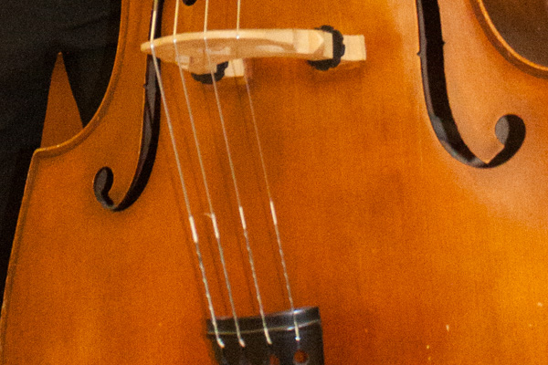 Double Bass 1